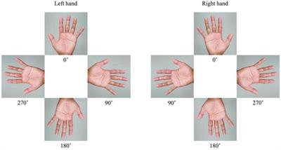 Supplementary motor area is deactivated during mental rotation tasks with biomechanical constraints in fMRI
